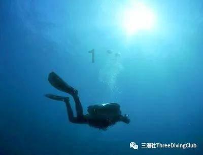 问道手游带什么宝宝游戏画面